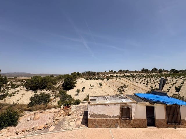6 soveværelse Finca/Landehus til salg i Jumilla med swimmingpool garage - € 425.000 (Ref: 9939304)
