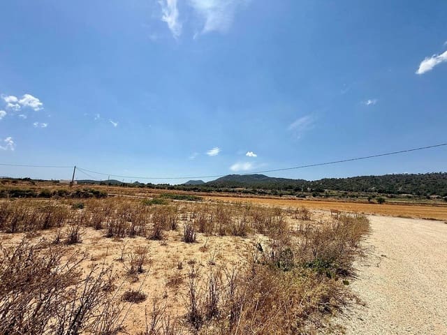 Mark till salu i Salinas - 49 500 € (Ref: 9959056)