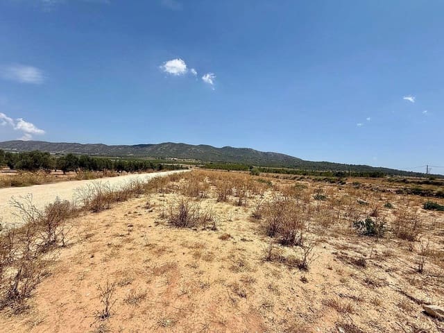 Mark till salu i Salinas - 49 500 € (Ref: 9959056)