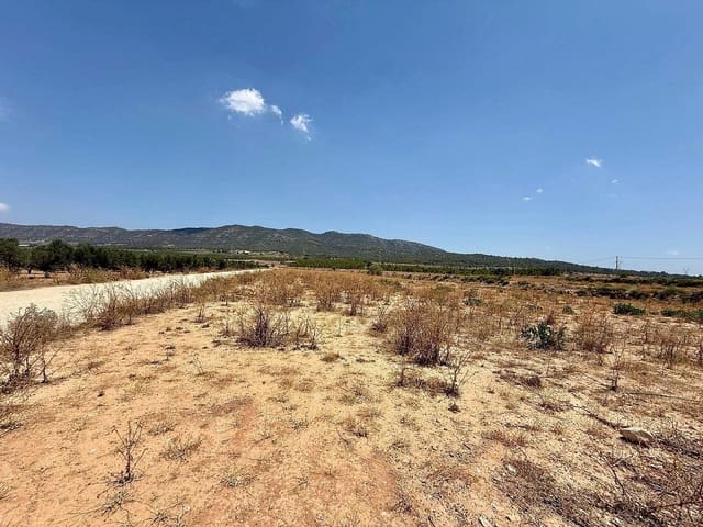 Mark till salu i Salinas - 49 500 € (Ref: 9959056)