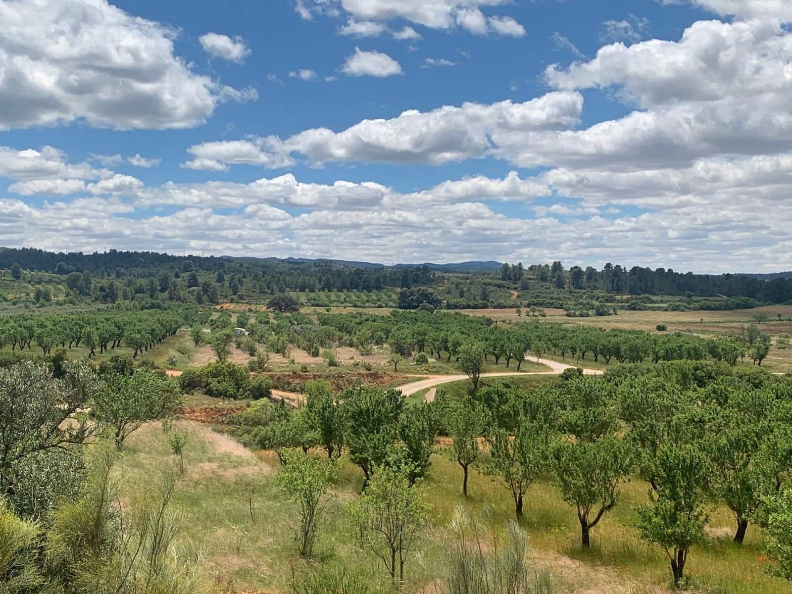 Undeveloped Land for sale in Ayora - € 250,000 (Ref: 9978123)