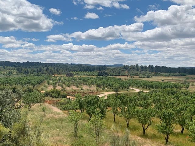 Undeveloped Land for sale in Ayora - € 250,000 (Ref: 9978123)