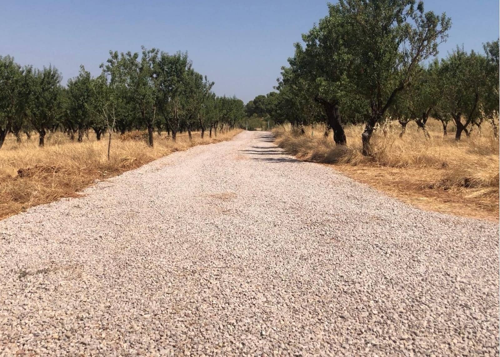 Undeveloped Land for sale in Ayora - € 250,000 (Ref: 9978123)