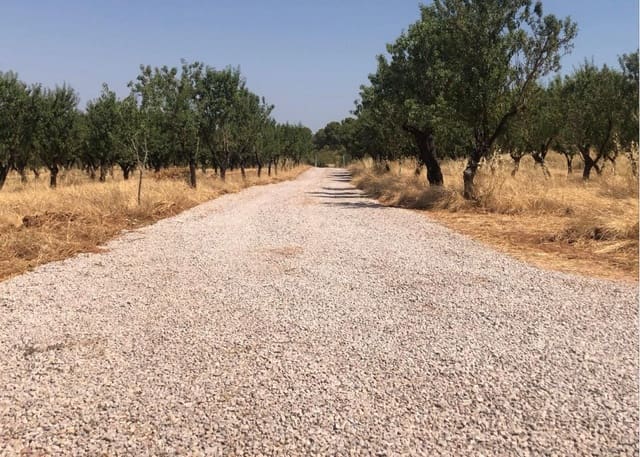 Undeveloped Land for sale in Ayora - € 250,000 (Ref: 9978123)