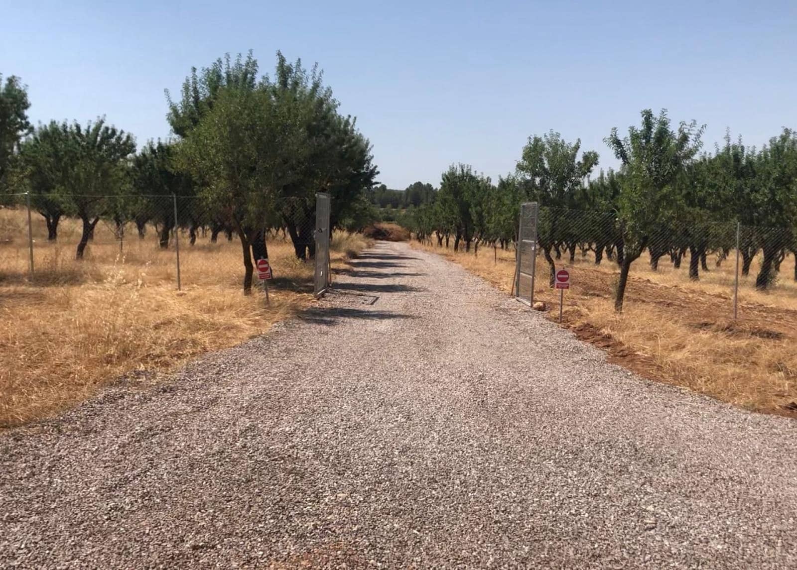 Undeveloped Land for sale in Ayora - € 250,000 (Ref: 9978123)