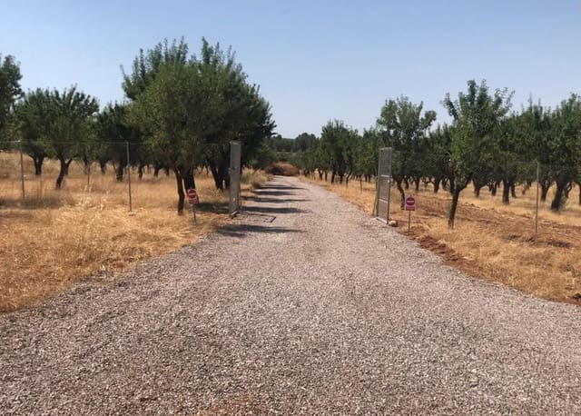 Undeveloped Land for sale in Ayora - € 250,000 (Ref: 9978123)