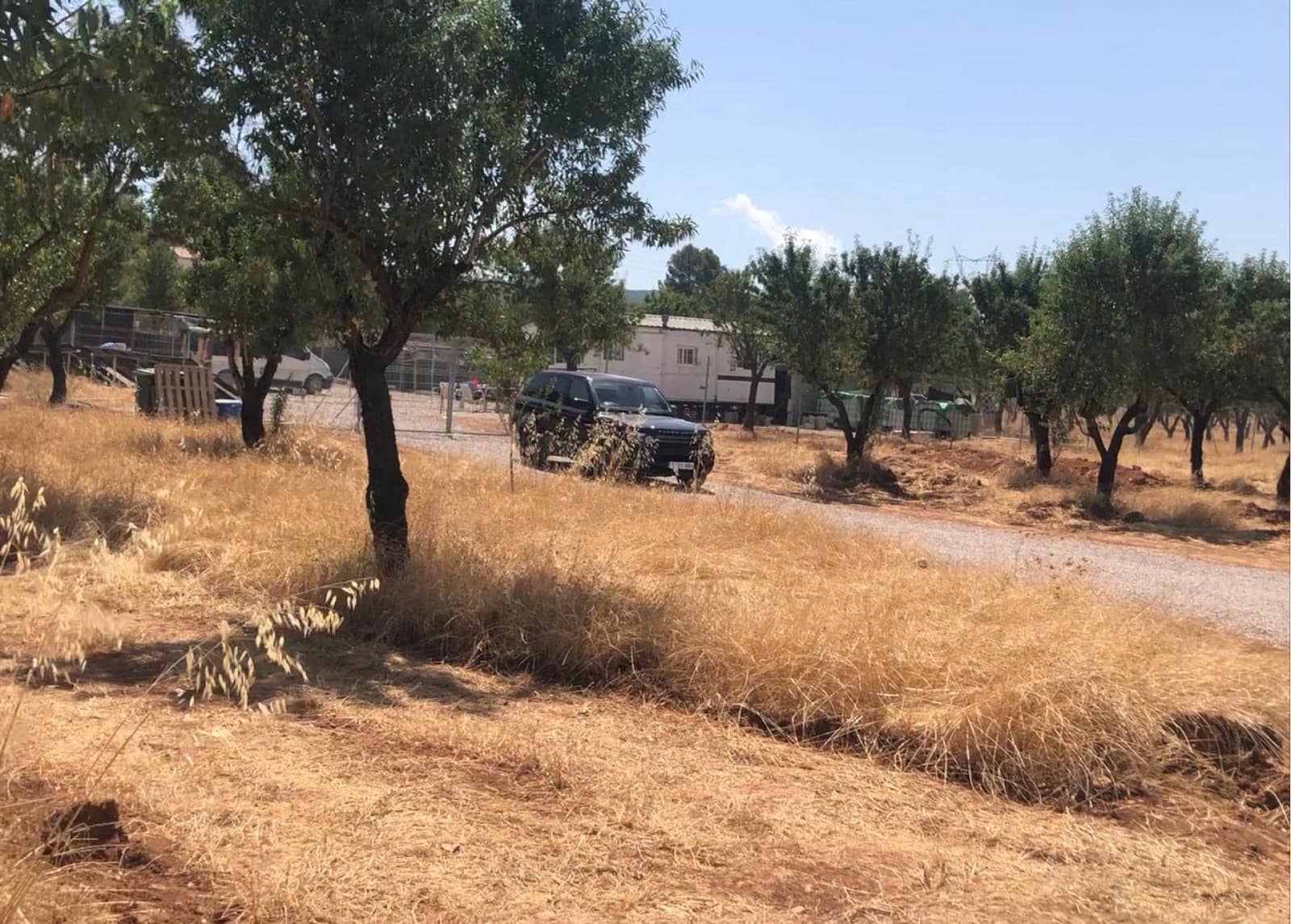Undeveloped Land for sale in Ayora - € 250,000 (Ref: 9978123)