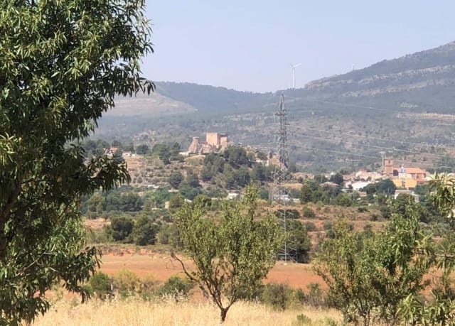Undeveloped Land for sale in Ayora - € 250,000 (Ref: 9978123)