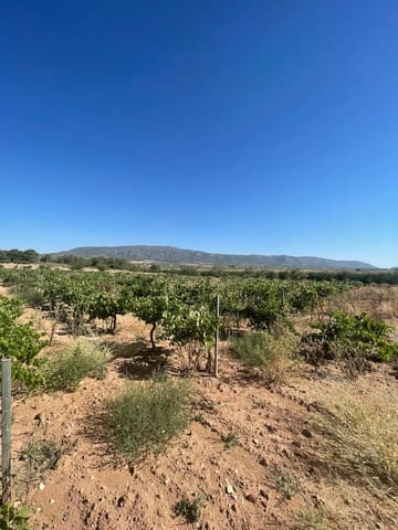Terreno/Finca Rústica en Pinoso en venta - 222.000 € (Ref: 9984306)