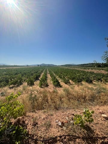 Terreno/Finca Rústica en Pinoso en venta - 222.000 € (Ref: 9984306)