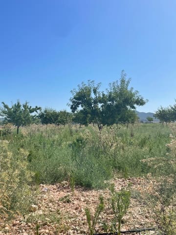 Terreno/Finca Rústica en Pinoso en venta - 222.000 € (Ref: 9984306)