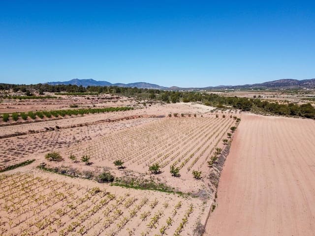 Terreno/Finca Rústica en Pinoso en venta - 222.000 € (Ref: 9984306)