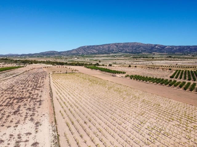 Terreno/Finca Rústica en Pinoso en venta - 222.000 € (Ref: 9984306)