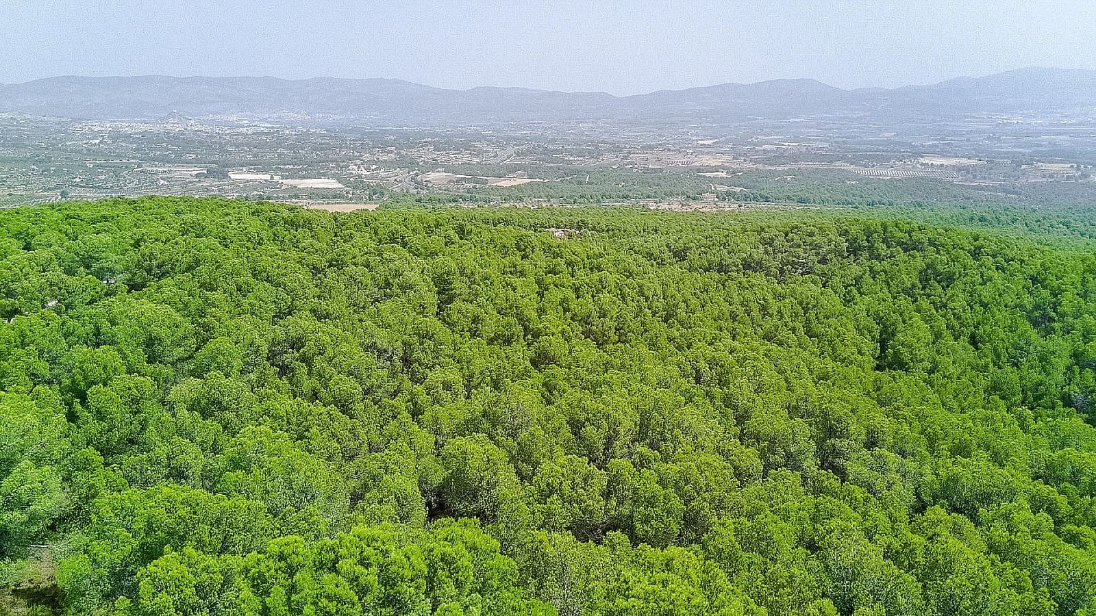2 camera da letto Finca/Casa di Campagna in vendita in Castalla con piscina - 259.000 € (Rif: 9986330)