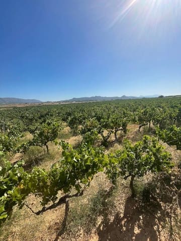 Terreno/Finca Rústica en Pinoso en venta - 222.000 € (Ref: 9986331)