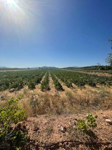 Terreno/Finca Rústica en Pinoso en venta - 222.000 € (Ref: 9986331)