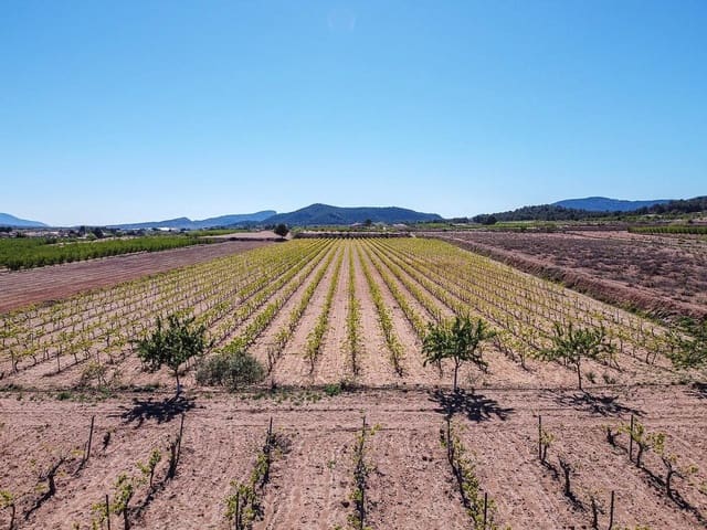 Terreno/Finca Rústica en Pinoso en venta - 222.000 € (Ref: 9986331)