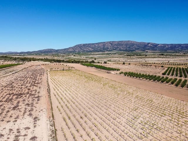 Terreno/Finca Rústica en Pinoso en venta - 222.000 € (Ref: 9986331)
