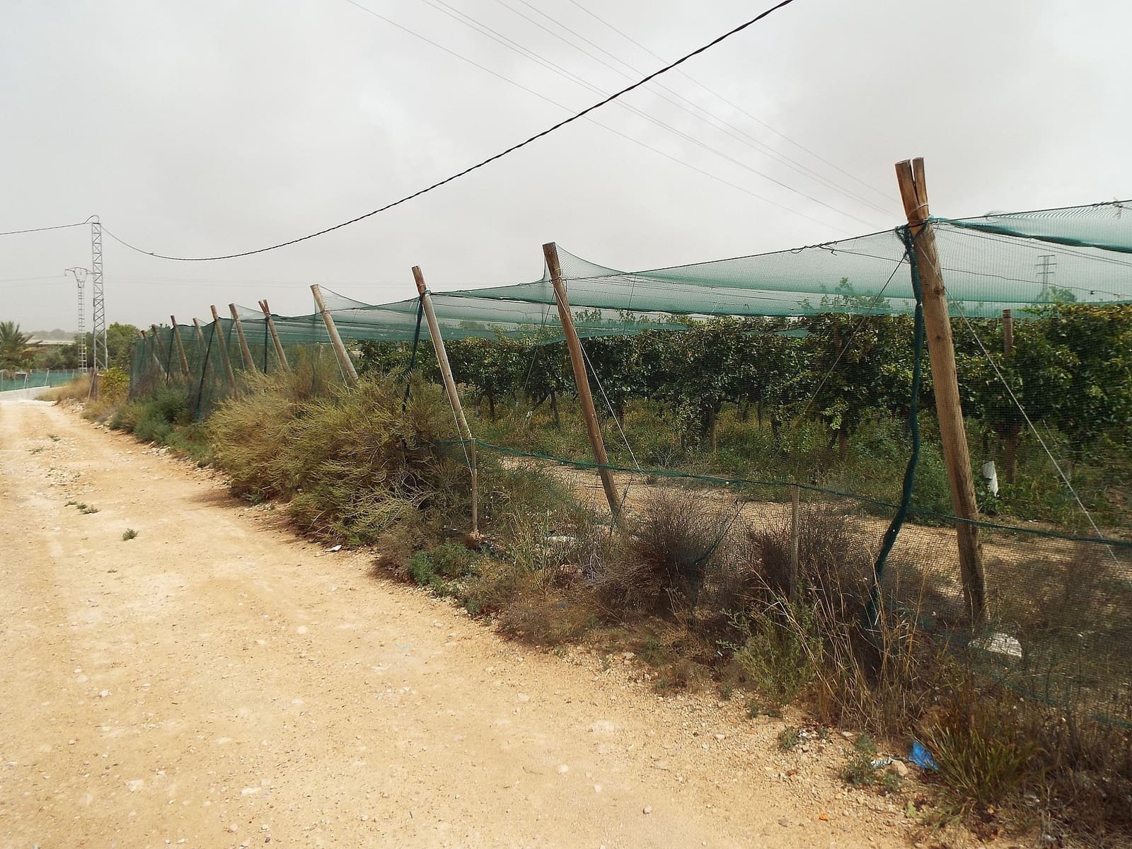 Terreno/Finca Rústica en Monforte del Cid en venta - 76.000 € (Ref: 9993759)