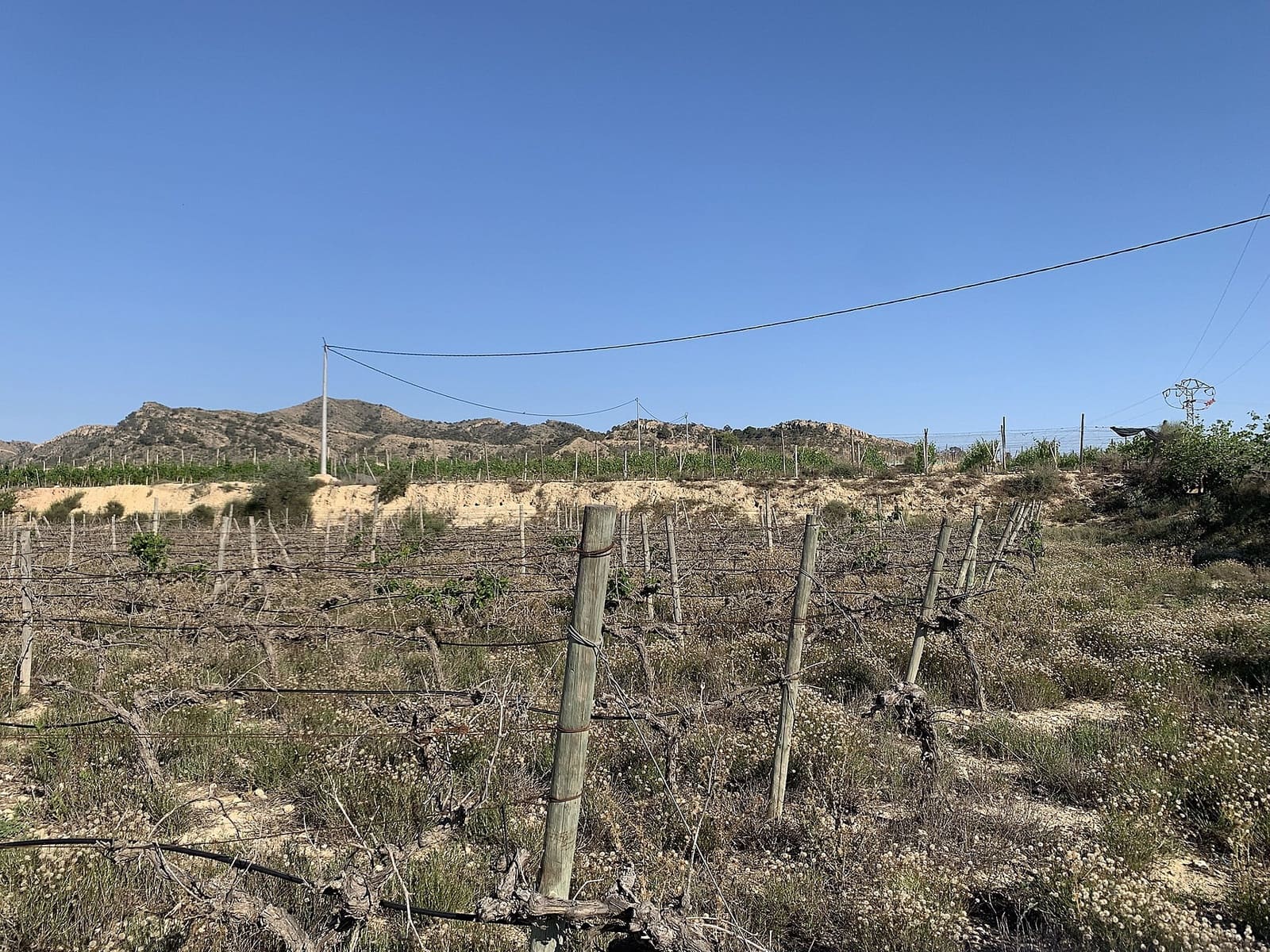 Landgrundstück zu verkaufen in Monforte del Cid - 65.000 € (Ref: 9993769)