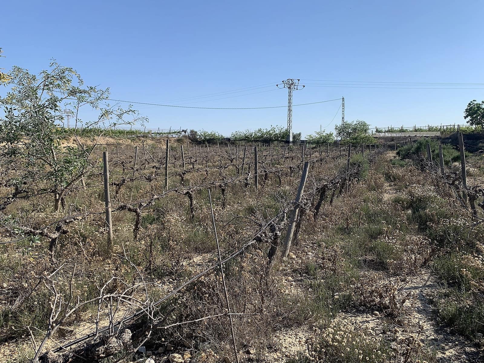Landgrundstück zu verkaufen in Monforte del Cid - 65.000 € (Ref: 9993769)