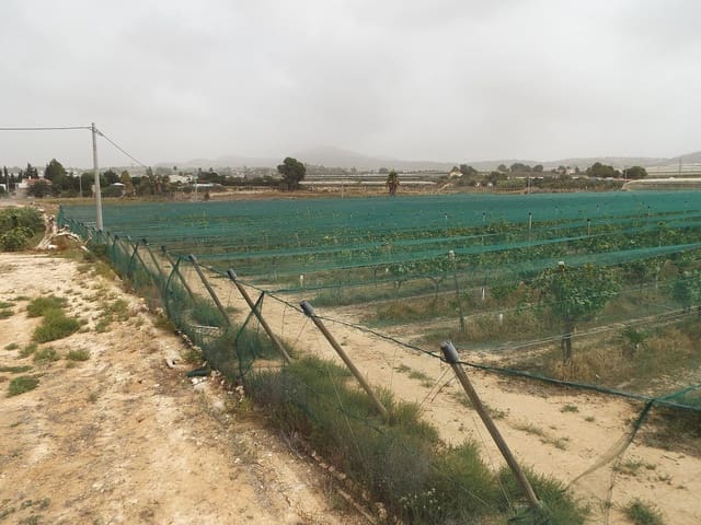 Terreno/Finca Rústica en Monforte del Cid en venta - 76.000 € (Ref: 9994719)