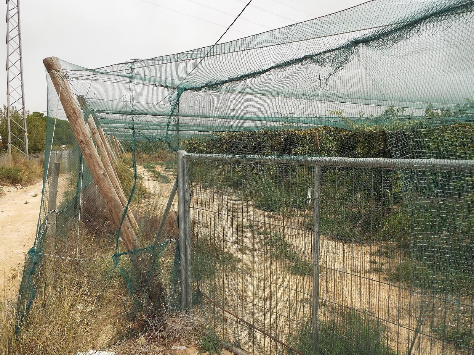 Terreno Non Edificato in vendita in Monforte del Cid - 76.000 € (Rif: 9994719)