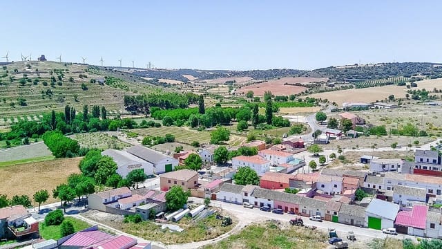 Undeveloped Land for sale in Lezuza - € 175,000 (Ref: 9994738)
