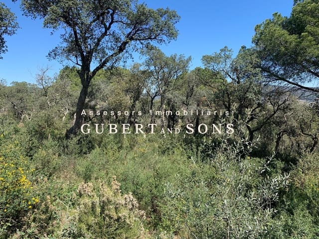 Terrain à Bâtir à vendre à Calonge i Sant Antoni - 150 000 € (Ref: 9677826)