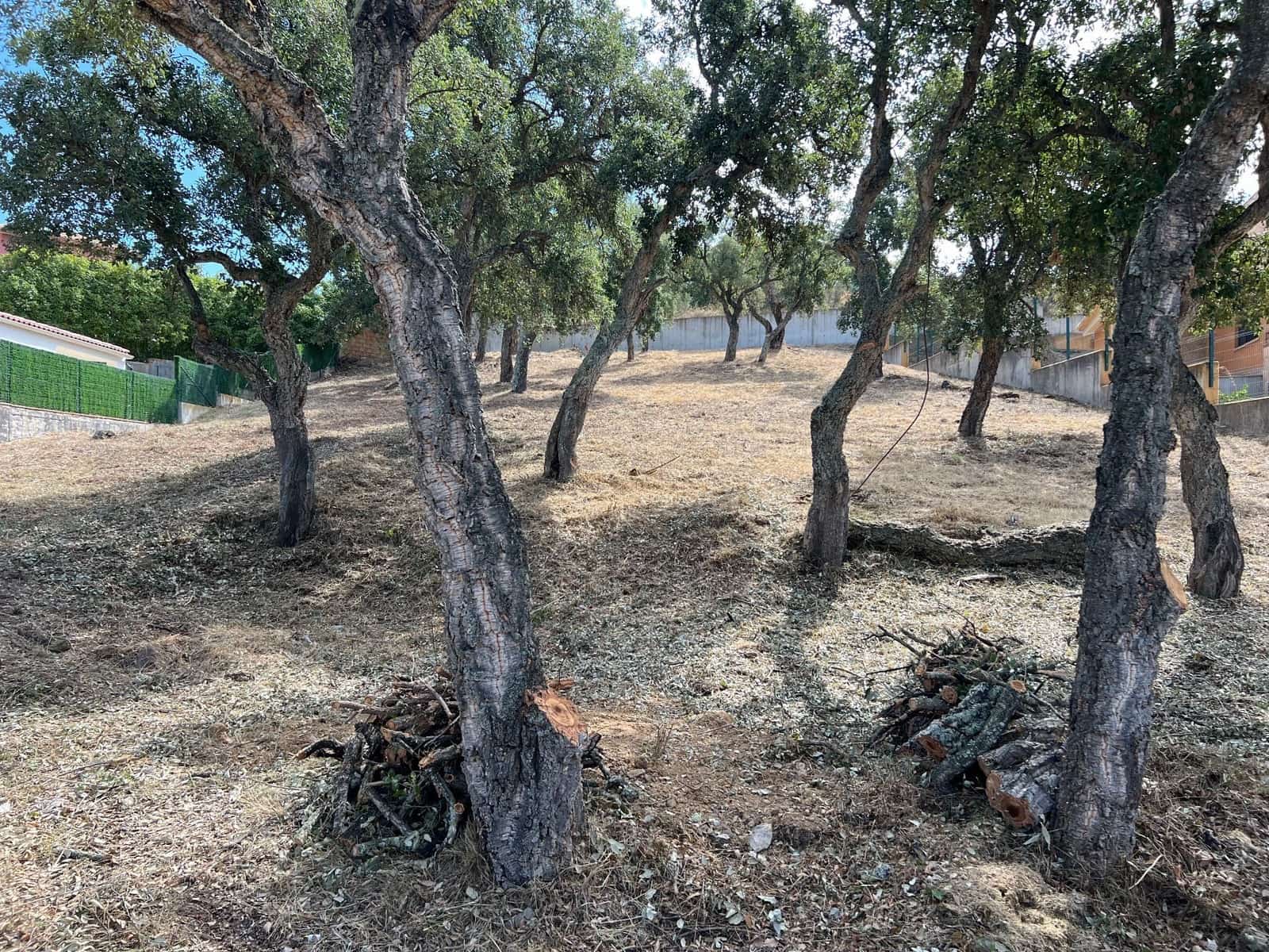 Bouwgrond te koop in Calonge i Sant Antoni - € 250.000 (Ref: 9677834)