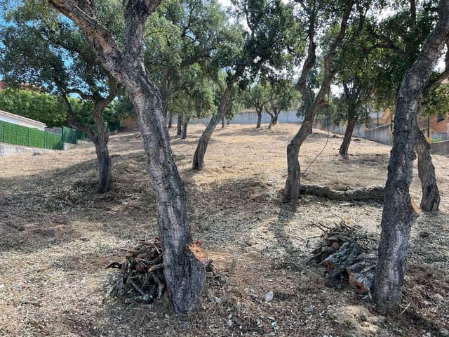 Bouwgrond te koop in Calonge i Sant Antoni - € 250.000 (Ref: 9677834)