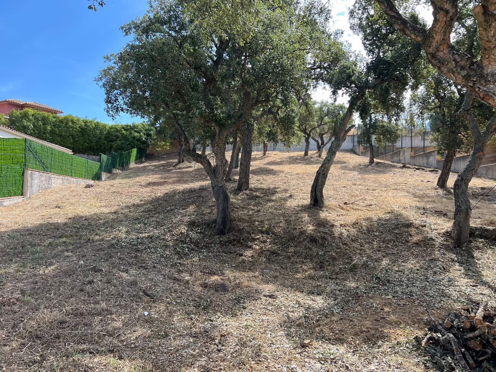 Bouwgrond te koop in Calonge i Sant Antoni - € 250.000 (Ref: 9677834)