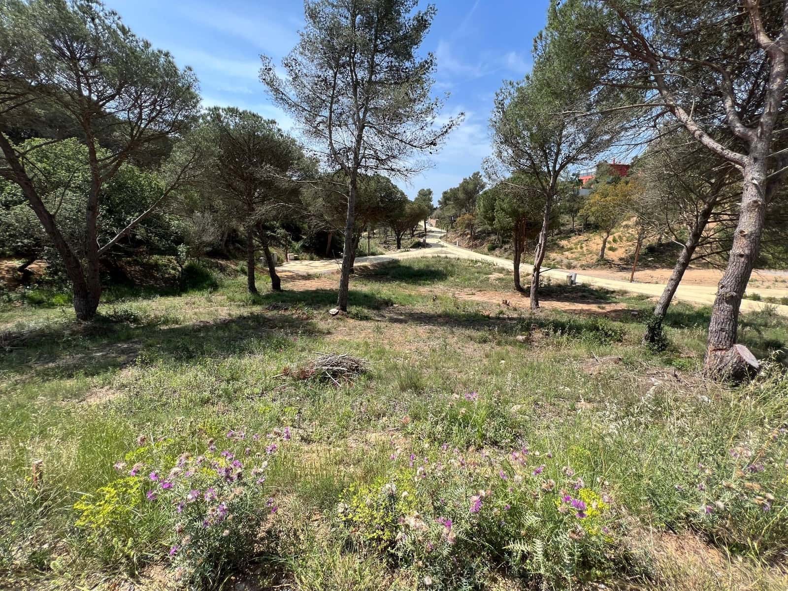 Building Plot for sale in Palamos - € 145,000 (Ref: 9677852)