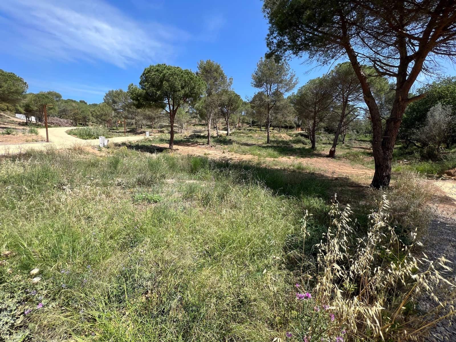 Building Plot for sale in Palamos - € 145,000 (Ref: 9677852)