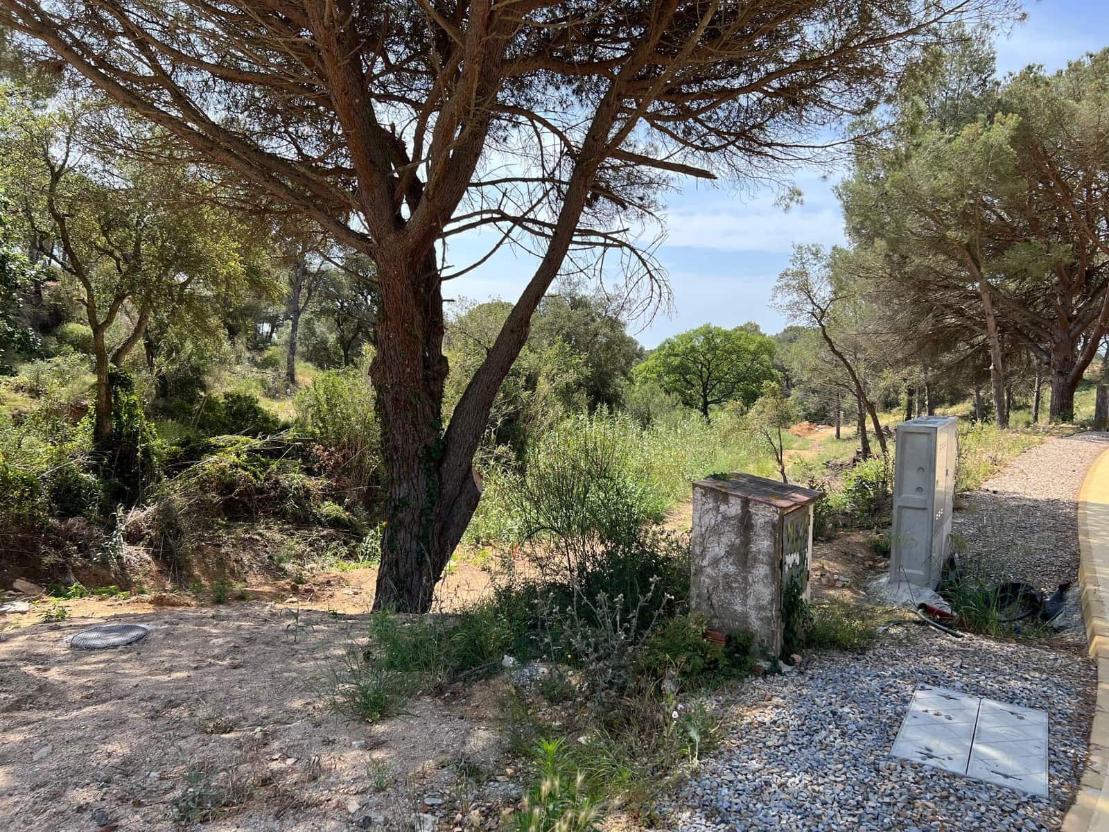 Building Plot for sale in Palamos - € 145,000 (Ref: 9677852)