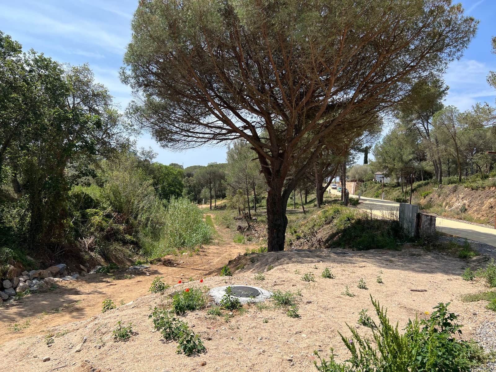 Building Plot for sale in Palamos - € 145,000 (Ref: 9677852)