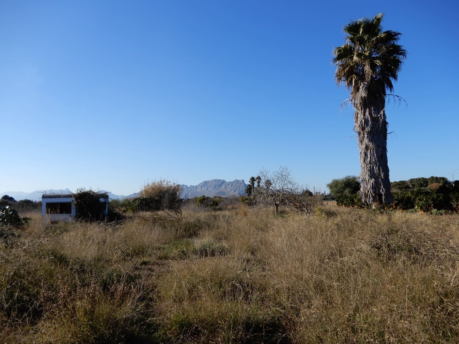Building Plot for sale in Pedreguer - € 249,000 (Ref: 7698212)