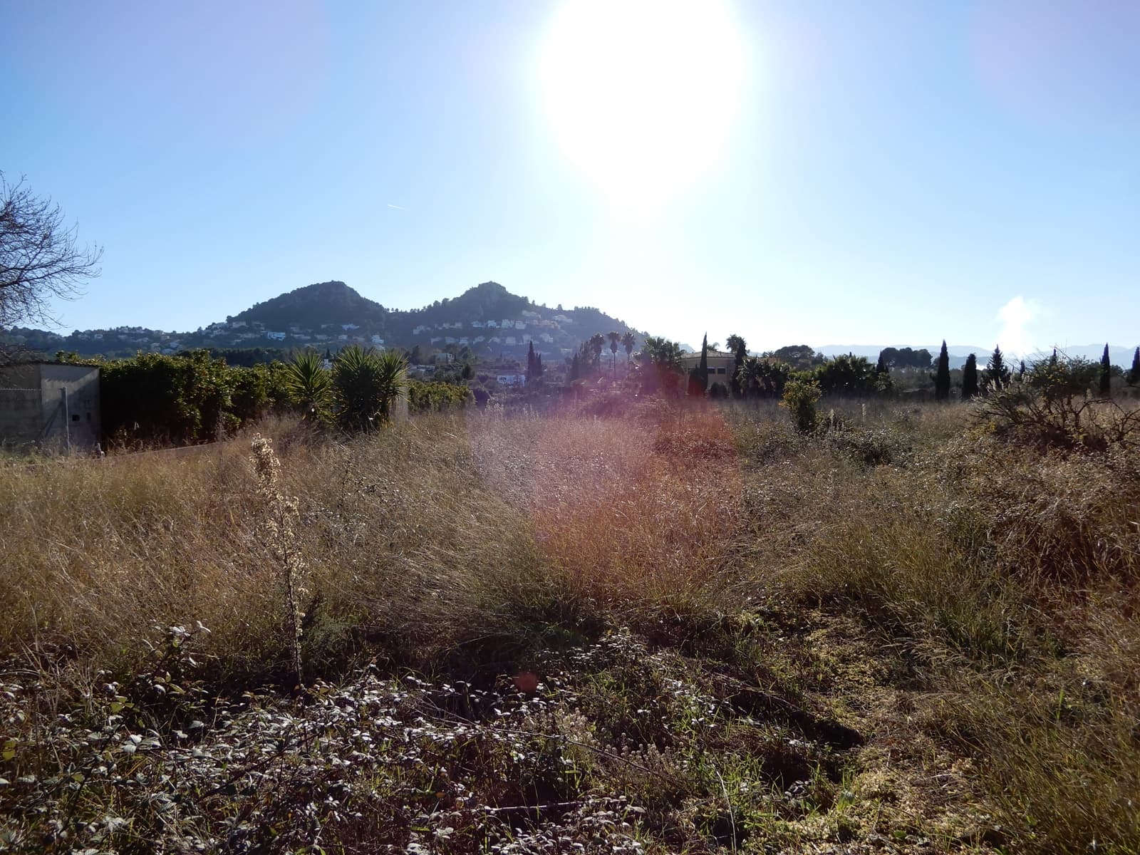 Building Plot for sale in Pedreguer - € 249,000 (Ref: 7698212)