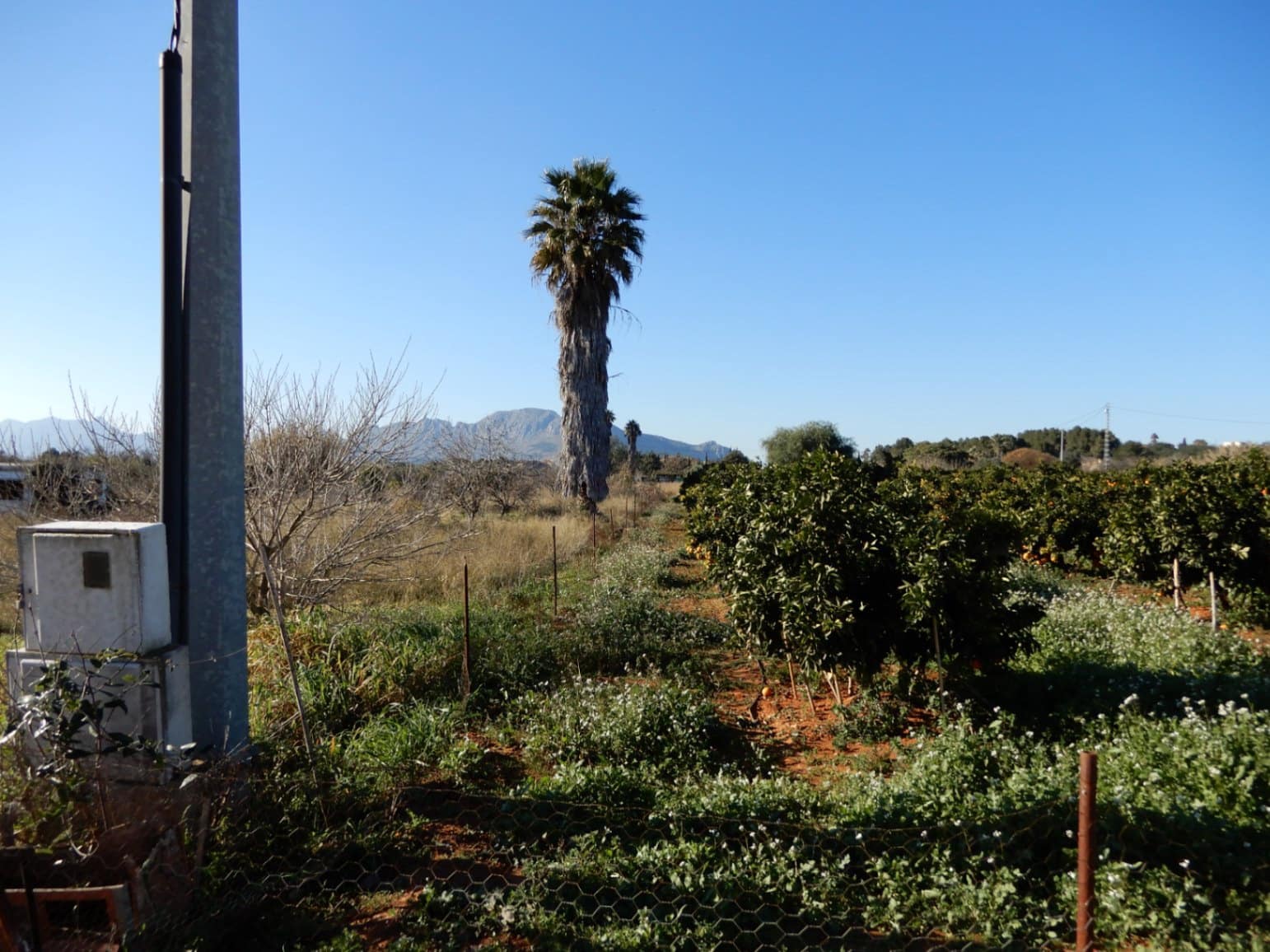 Building Plot for sale in Pedreguer - € 249,000 (Ref: 7698212)