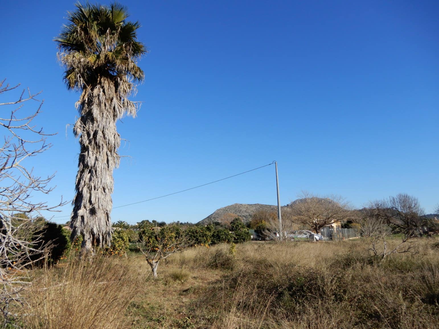 Building Plot for sale in Pedreguer - € 249,000 (Ref: 7698212)