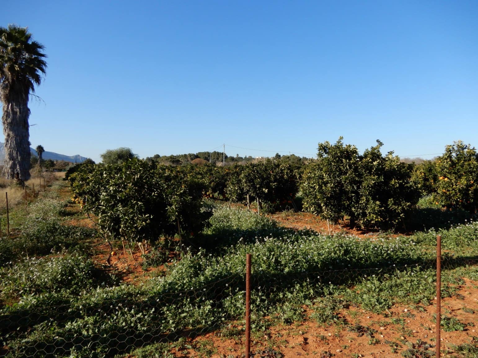 Building Plot for sale in Pedreguer - € 249,000 (Ref: 7698212)