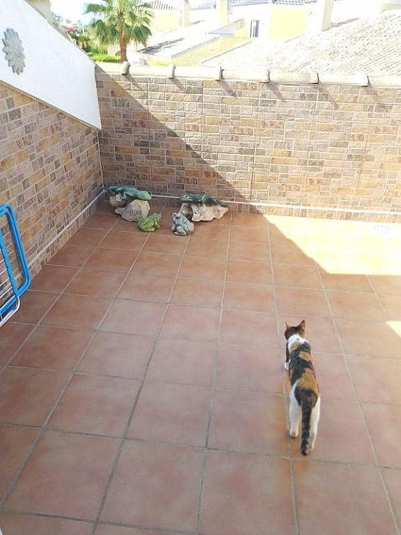 3 bedroom Villa for sale in El Vergel / Verger with pool garage - € 430,000 (Ref: 7754575)