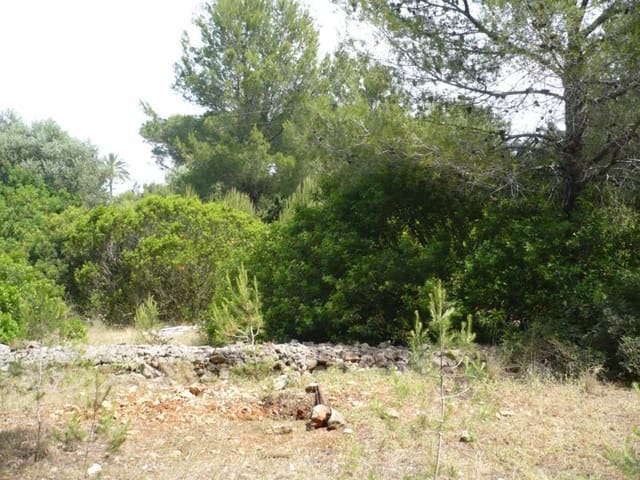 Building Plot for sale in Las Rotas / Les Rotes, Dénia - € 900,000 (Ref: 8807523)