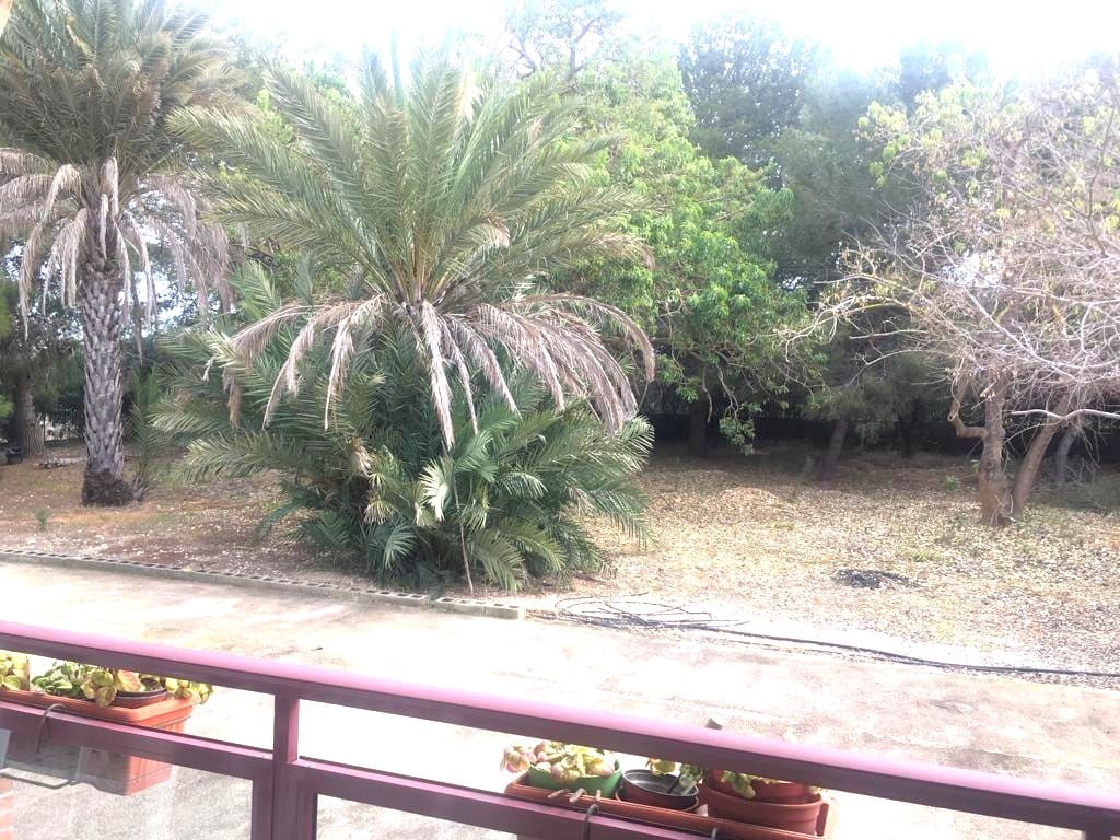 5 chambre Finca/Maison de Campagne à vendre à Els Poblets avec piscine garage - 850 000 € (Ref: 9021869)