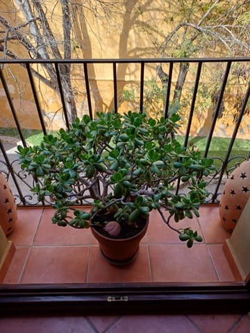 4 quarto Apartamento para venda em Dénia - 456 000 € (Ref: 9104137)