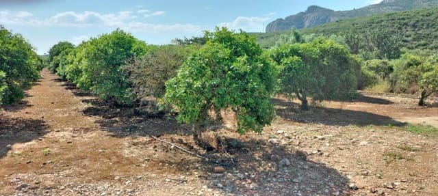 Undeveloped Land for sale in El Vergel / Verger - € 70,000 (Ref: 9104151)