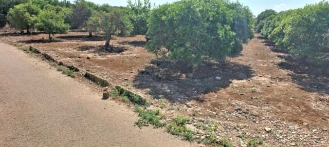 Undeveloped Land for sale in El Vergel / Verger - € 70,000 (Ref: 9104151)