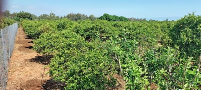 Undeveloped Land for sale in El Vergel / Verger - € 70,000 (Ref: 9104151)