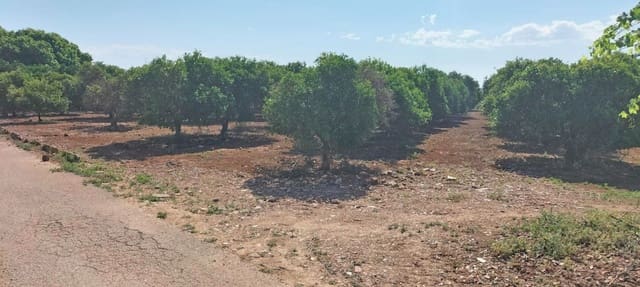 Undeveloped Land for sale in El Vergel / Verger - € 70,000 (Ref: 9104151)