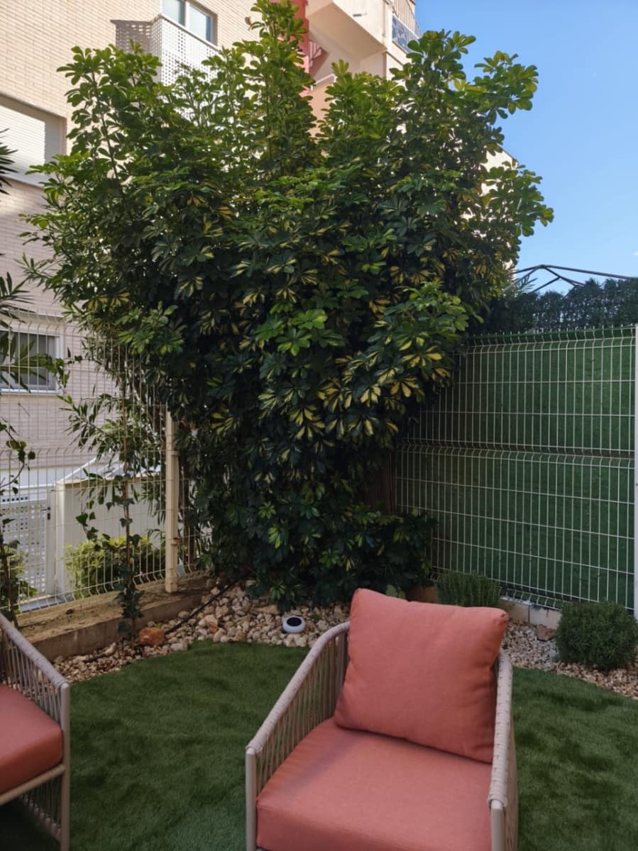 1 quarto Apartamento para venda em Denia com piscina garagem - 243 000 € (Ref: 9436591)